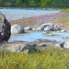 Ebb Tide;
6x12;
$650