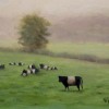 Belties in the Mist;
8x10;
$600