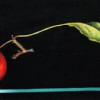 Crabapple Reflected #2;
6x12;
$650